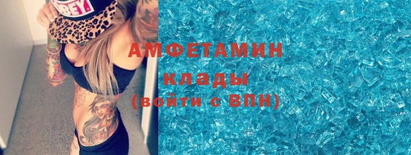 сатива Алзамай