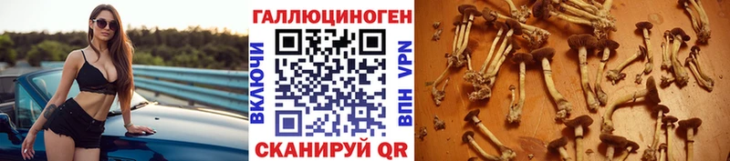 OMG как войти  где купить наркоту  Спасск-Рязанский  Псилоцибиновые грибы MAGIC MUSHROOMS 
